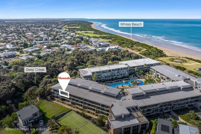 /international/au/317-100-the-esplanade-torquay-vic-151043788/