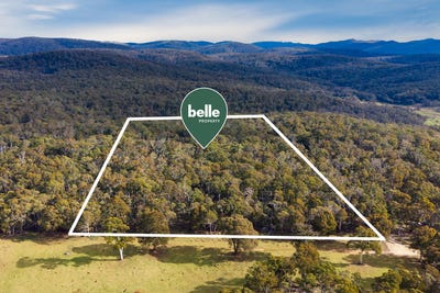 /international/au/217-golden-age-road-grosses-plain-nsw-204641808/