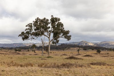 /international/au/162-mount-view-road-kandos-nsw-700366096/?lang=es