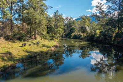/international/au/125-jasper-creek-road-mount-seaview-nsw-700306488/