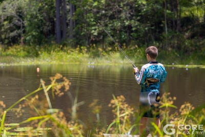 /international/au/272-ringtail-creek-road-ringtail-creek-qld-150028580/