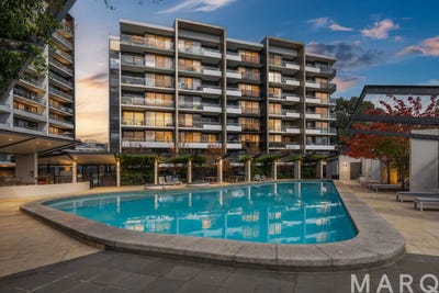 /international/au/244-7-irving-street-phillip-act-151181344/