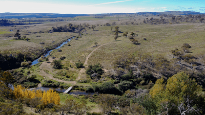 /international/au/163-craigie-road-mila-nsw-700413780/