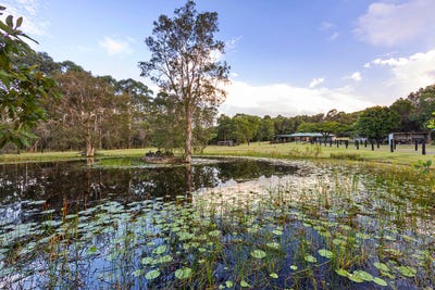 /international/au/138-callistemon-court-cootharaba-qld-147919436/?lang=it