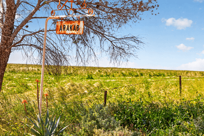 /international/au/752-greenways-road-nildottie-sa-700425088/
