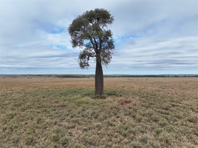 /international/au/-nine-mile-west-olivevale-road-comet-qld-700366748/?lang=zh-cn