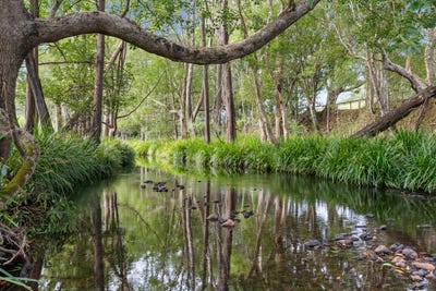 /international/au/160-upper-crystal-creek-road-upper-crystal-creek-nsw-700400092/