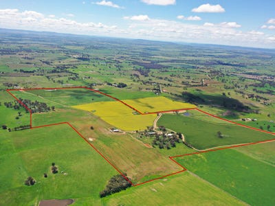 /international/au/433-maimuru-ss-road-via-young-nsw-700425428/