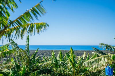 /international/au/20-puhos-road-sandy-beach-nsw-700362992/?lang=en