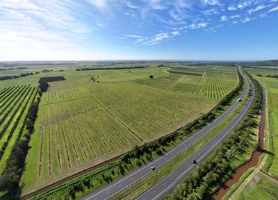 /international/au/397-pimlico-road-pimlico-nsw-700408080/