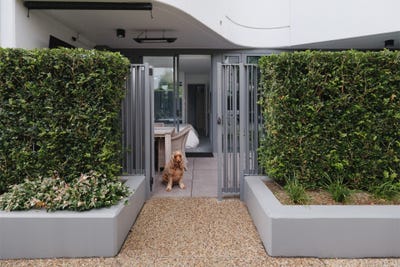 /international/au/111-19-george-julius-avenue-zetland-nsw-151238360/