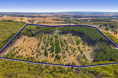 /international/au/lot-1-llandeilo-lane-ballan-vic-204439252/