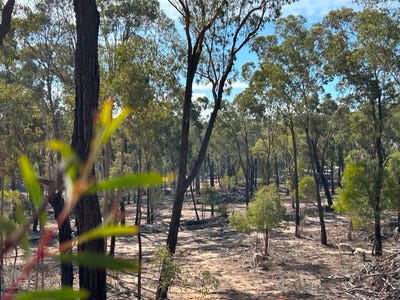 /international/au/325-cypress-avenue-millmerran-woods-qld-700411740/