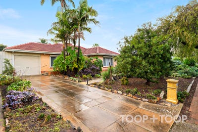 /international/au/14-parkwood-grove-paradise-sa-151306964/