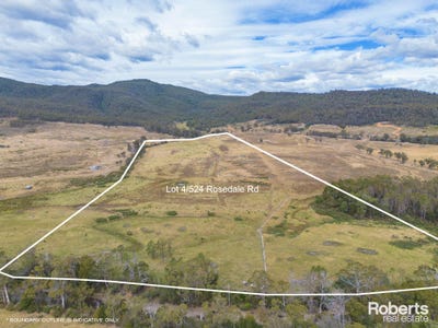 /international/au/lot-4-524-rosedale-road-bicheno-tas-204551048/