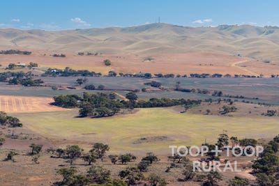 /international/au/oaklands-road-dutton-sa-700405580/