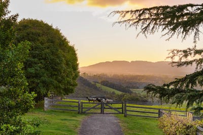 /international/au/55-fountaindale-road-robertson-nsw-151113404/