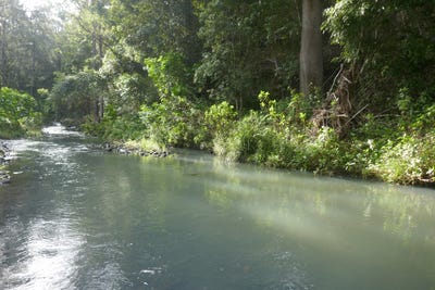 /international/au/1108-eden-creek-road-kyogle-nsw-700412324/