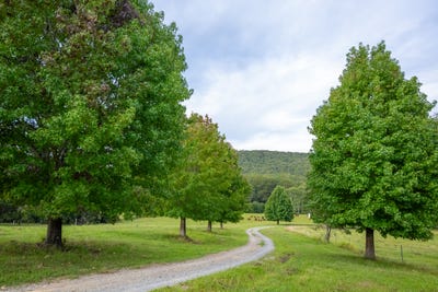 /international/au/129-featherstones-road-sherwood-nsw-150634580/