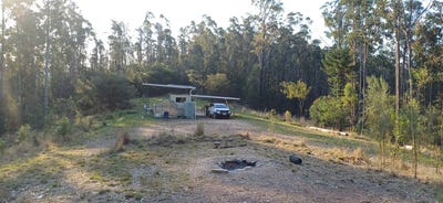/international/au/210-laytons-range-road-nymboida-nsw-700406944/