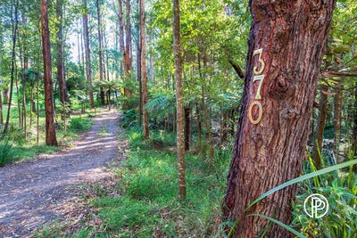 /international/au/370-old-warburton-road-warburton-vic-204518936/