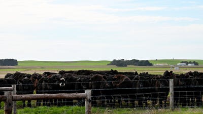 /international/au/allot-91-lower-nelson-road-allendale-east-sa-700407444/
