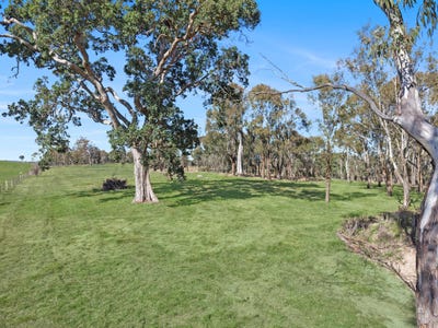 /international/au/144-120a-millers-lane-tenterfield-nsw-204558652/