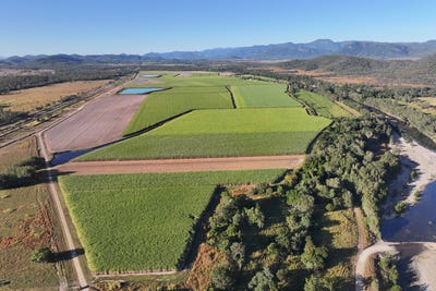 /international/au/215-bloomsbury-back-road-bloomsbury-qld-700411008/