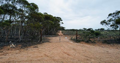 /international/au/lot-5-221-stott-highway-and-pine-hut-road-sedan-sa-204529716/