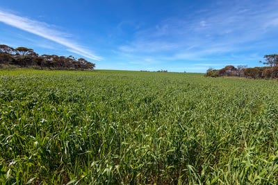 /international/au/lot-44-birdseye-highway-murlong-sa-700426520/