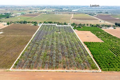 /international/au/lot-1-briers-road-loxton-sa-700411380/