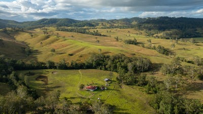/international/au/1333-waukivory-road-waukivory-via-gloucester-nsw-700408020/