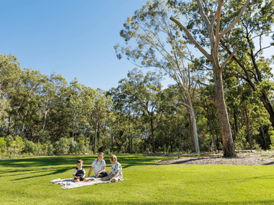 /international/au/lot-712-grevillea-drive-burpengary-qld-204326352/
