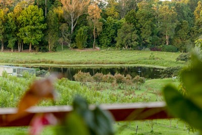 /international/au/69-cooke-road-witta-qld-149916620/