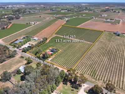 /international/au/lot-265-kulkyne-street-renmark-sa-204680416/