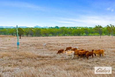 /international/au/53347a-burnett-highway-bouldercombe-qld-700428684/