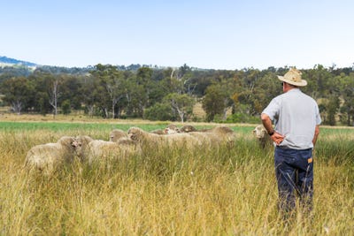 /international/au/-linallie-2263-greenup-limevale-road-brush-creek-qld-700367292/