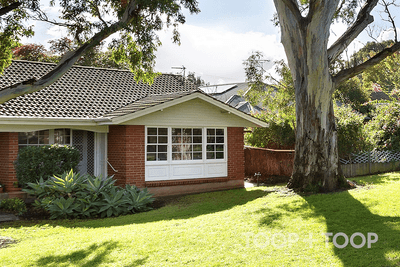 /international/au/2-11-grandview-avenue-urrbrae-sa-151265952/