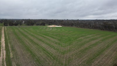 /international/au/lot-423-gordon-street-broomehill-village-wa-204223688/