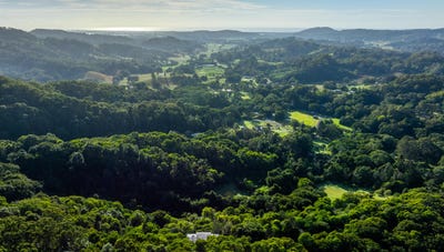 /international/au/590-clothiers-creek-road-clothiers-creek-nsw-151163796/