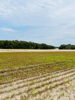 /international/au/lot-626-island-terrace-jacobs-well-qld-204056556/?lang=zh-tw