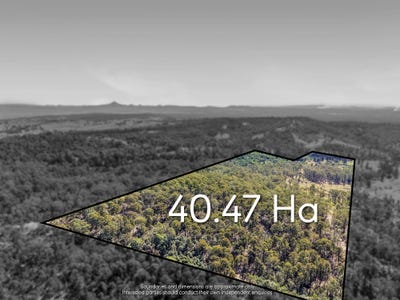 /international/au/lot-68-collins-creek-road-mundoolun-qld-204664440/