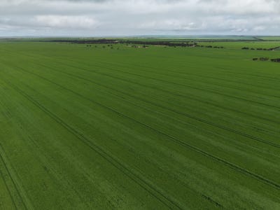 /international/au/sec-545-sec-554-wayside-road-kainton-sa-700427524/