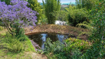 /international/au/1158-pinchin-road-the-channon-nsw-700417528/