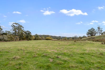 /international/au/83-turkey-farm-road-glengarry-tas-700405216/