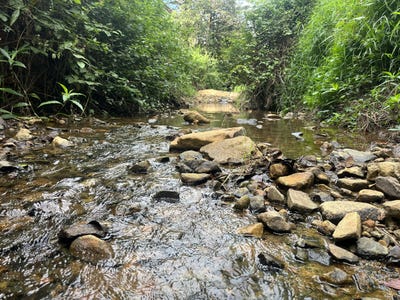 /international/au/4-howie-street-eungella-qld-204547856/