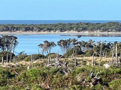 /international/au/lot-5-north-east-river-road-palana-tas-700411592/