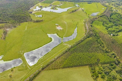 /international/au/1600-anderleigh-road-anderleigh-qld-204434468/