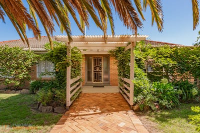 /international/au/34-threlfall-street-chifley-act-150749656/