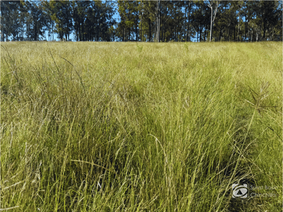 /international/au/-gedley-et-al-west-boondooma-road-durong-qld-700399964/